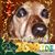 Annette Sheppard's profile image