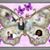 Patrice Haas's profile image