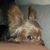 Jeannette Jimenez Simmons's profile image