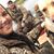 Cheyanne Stoudt's profile image