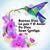 Gloria Rios Castillo's profile image
