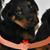 Jackson Cynthia's profile image