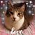 Lori Jensen's profile image