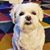 Melissa Holdaway's profile image
