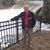 Alan Meilach's profile image