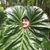 Sage Staggs's profile image