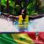 Mamadou Ndiaye's profile image