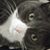 Jacqueline Diane's profile image