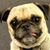 Christina Smither's profile image
