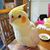 Colleen Fitzpatrick-Kirby's profile image