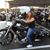 Susan Finsterbush's profile image