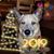 Vicki Stevens Walborn's profile image