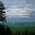 Kimberly Burch Chelbi's profile image