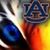Teri Wilson Watkins's profile image
