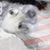 Don Barcome's profile image