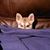 Tim Hunold's profile image