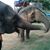 Danene Legarth's profile image