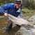 Andrew Bouffard's profile image