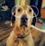 Jessica Cliborne's profile image