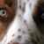 Buckwheat Lee's profile image
