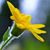 Maria Cunningham's profile image