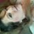 C.C. Nicholls's profile image