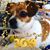 Kathy Yenter's profile image