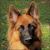 Linda Palmer Klapaska's profile image