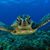 Linda J Caldwell's profile image