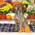 Tracey Halbleib's profile image