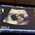 Debra Kate Michael's profile image