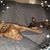 Kesha Wiltse's profile image
