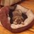 Lisa Sibirtzeff's profile image