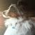 Melinda Smith's profile image