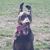 Linda Garrity Wright's profile image