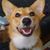 Matthew Martinez's profile image