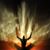 Dominy Marveux-Garbeau's profile image