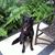Karen Steele's profile image