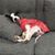 Michelle Hagopian's profile image