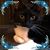 Nereida Chavez's profile image