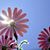 Wendy Velis Maza's profile image