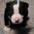 Cassie Chaffin's profile image