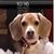 Jeannie Bellar's profile image