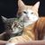 Lynn Dee Tortolanni's profile image