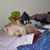 Salina Ng's profile image