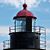 Elaine McCaffrey Bucci's profile image