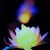 贺金龙's profile image