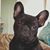 Kc Brown's profile image