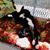 Jean Marie Leles's profile image