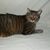 Janice Crowder Clifton's profile image